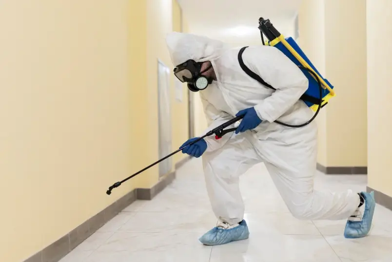 المكافحة المتكاملة للآفات IPM