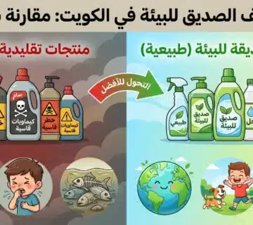 التنظيف الصديق للبيئة في الكويت