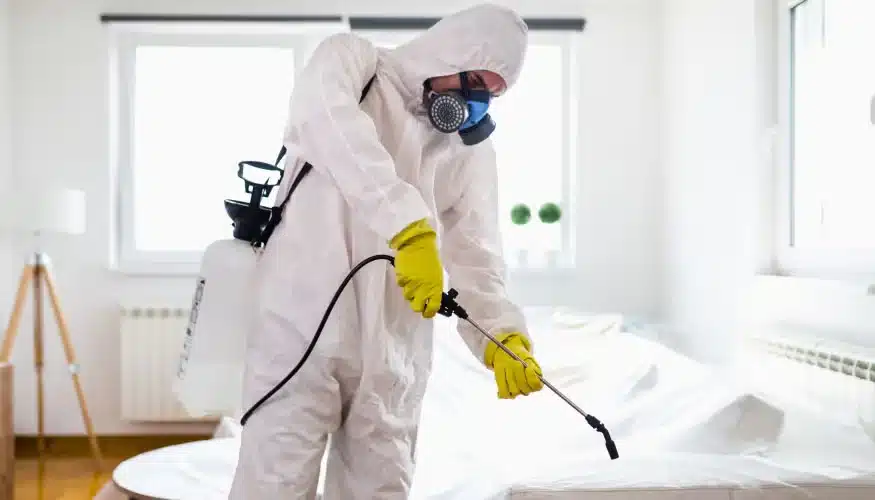 أفضل-أساليب-وطرق-مكافحة-حشرات-في-الكويت