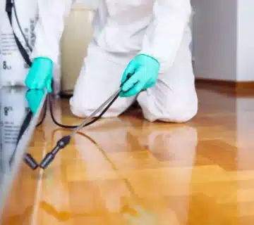 حلول وخدمات أقوى شركة ابادة حشرات المنزل الكويت نهائيا