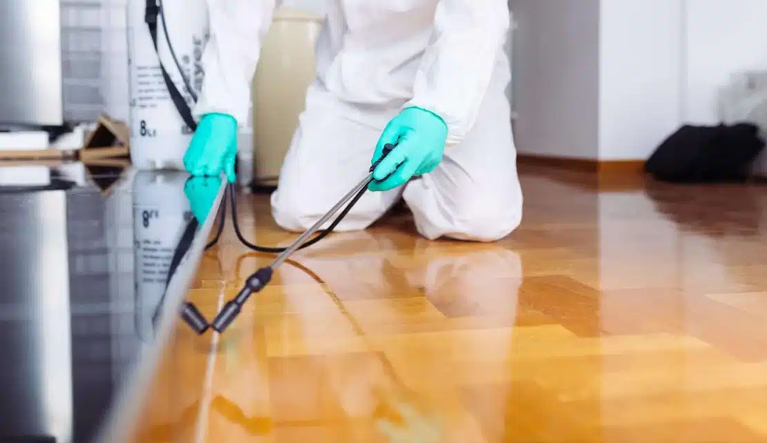 حلول وخدمات أقوى شركة ابادة حشرات المنزل الكويت نهائيا