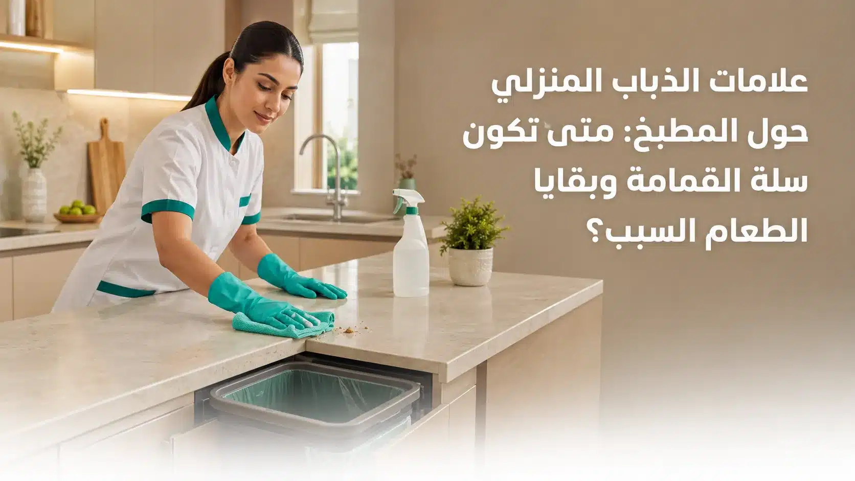 علامات الذباب المنزلي حول المطبخ وسلة القمامة وبقايا الطعام