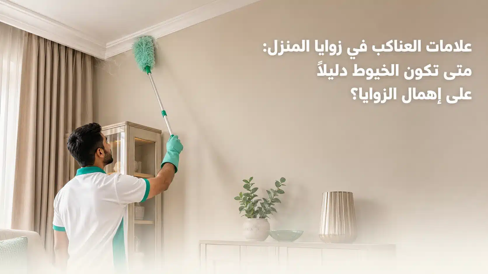 علامات العناكب في المنزل مثل الخيوط في الزوايا وخلف الأثاث